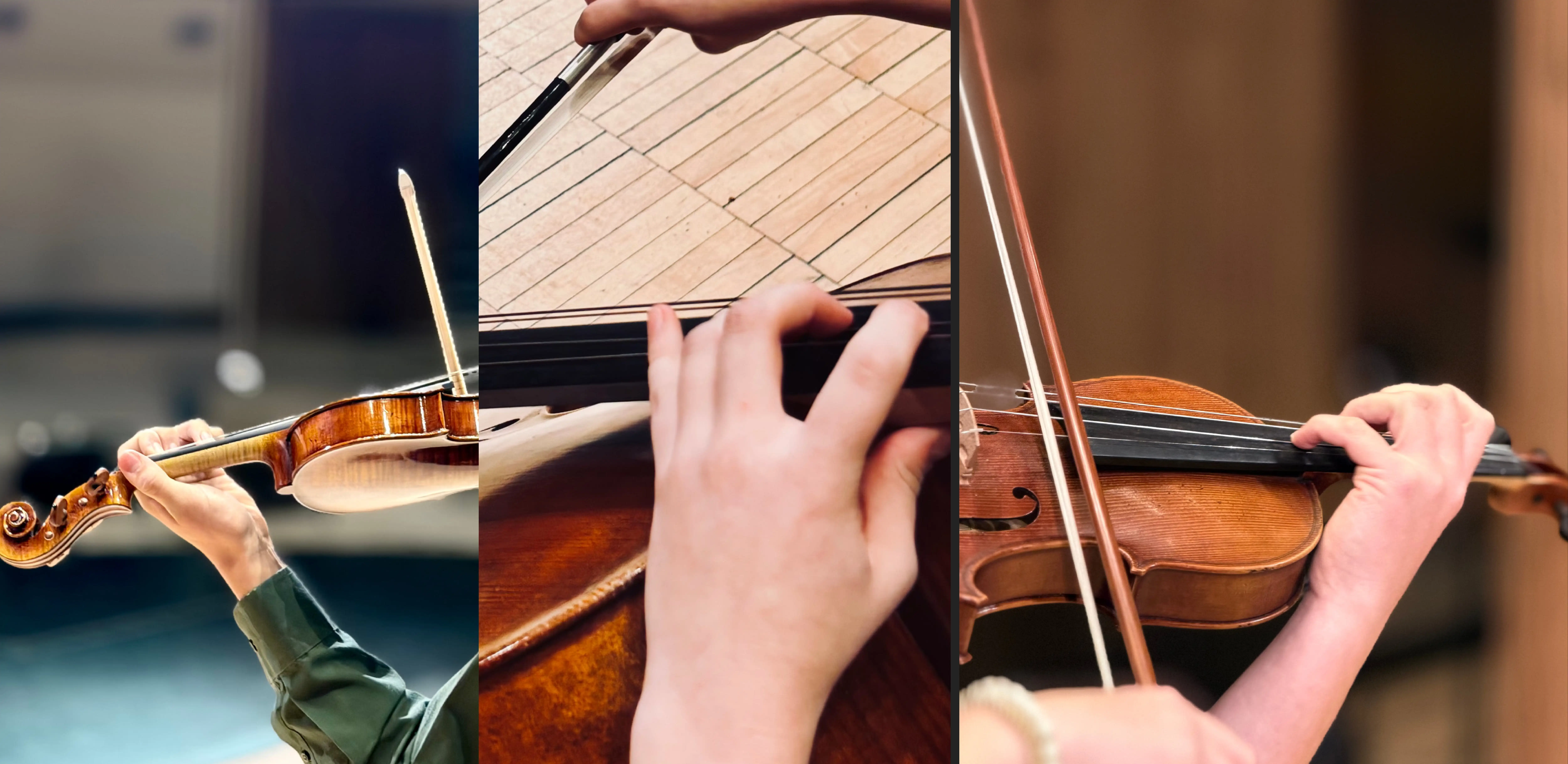 Bemidji Performing Arts Academy Banner